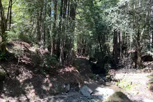 38555 Hauser Bridge Rd, Cazadero, CA 95421 - Photo 88