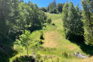 38555 Hauser Bridge Rd, Cazadero, CA 95421 - Photo 56