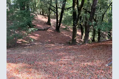 38555 Hauser Bridge Road, Cazadero, CA 95421 - Photo 78