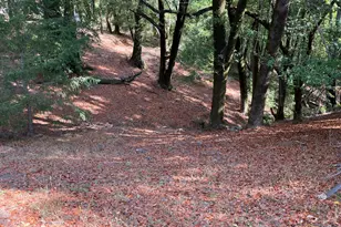 38555 Hauser Bridge Rd, Cazadero, CA 95421 - Photo 78