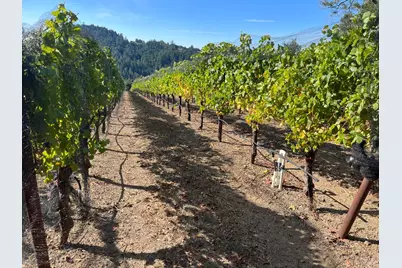 38555 Hauser Bridge Road, Cazadero, CA 95421 - Photo 78