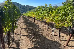 38555 Hauser Bridge Rd, Cazadero, CA 95421 - Photo 78