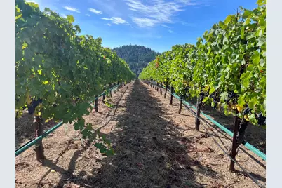 38555 Hauser Bridge Road, Cazadero, CA 95421 - Photo 80