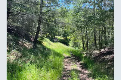 38555 Hauser Bridge Road, Cazadero, CA 95421 - Photo 82
