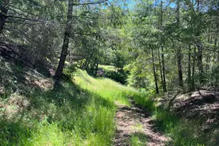 38555 Hauser Bridge Rd, Cazadero, CA 95421 - Photo 82