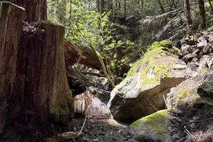 38555 Hauser Bridge Rd, Cazadero, CA 95421 - Photo 70