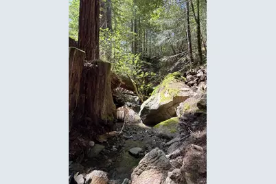 38555 Hauser Bridge Road, Cazadero, CA 95421 - Photo 62