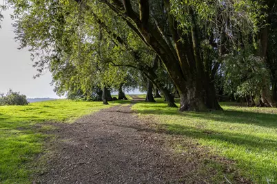 38555 Hauser Bridge Road, Cazadero, CA 95421 - Photo 4