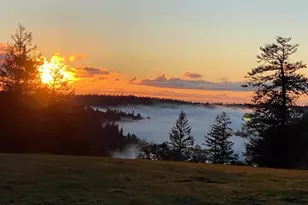 38555 Hauser Bridge Rd, Cazadero, CA 95421 - Photo 80