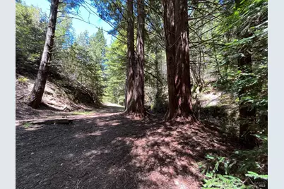 38555 Hauser Bridge Road, Cazadero, CA 95421 - Photo 88