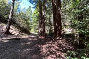 38555 Hauser Bridge Rd, Cazadero, CA 95421 - Photo 88