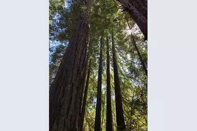 38555 Hauser Bridge Road, Cazadero, CA 95421 - Photo 56