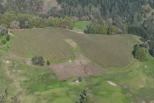 38555 Hauser Bridge Rd, Cazadero, CA 95421 - Photo 46