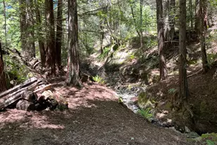 38555 Hauser Bridge Rd, Cazadero, CA 95421 - Photo 86