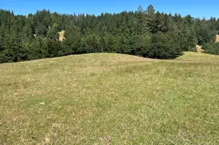 38555 Hauser Bridge Rd, Cazadero, CA 95421 - Photo 52