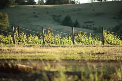 38555 Hauser Bridge Road, Cazadero, CA 95421 - Photo 62