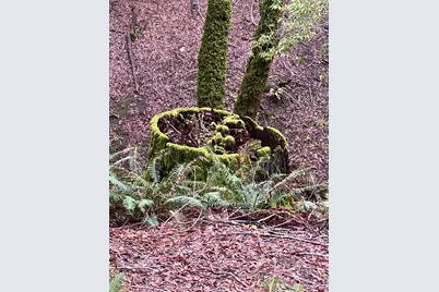 38555 Hauser Bridge Road, Cazadero, CA 95421 - Photo 74