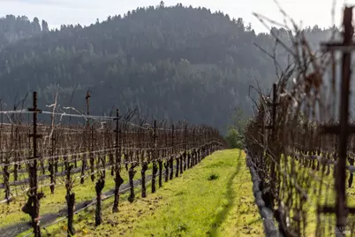 38555 Hauser Bridge Road, Cazadero, CA 95421 - Photo 6