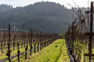 38555 Hauser Bridge Rd, Cazadero, CA 95421 - Photo 6