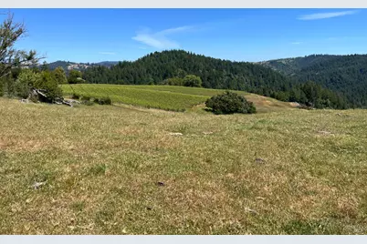 38555 Hauser Bridge Road, Cazadero, CA 95421 - Photo 46