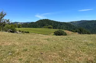 38555 Hauser Bridge Rd, Cazadero, CA 95421 - Photo 46