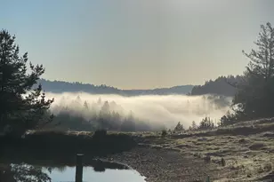 38555 Hauser Bridge Rd, Cazadero, CA 95421 - Photo 72