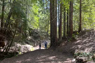 38555 Hauser Bridge Rd, Cazadero, CA 95421 - Photo 80
