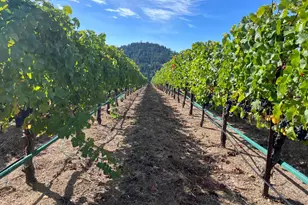 38555 Hauser Bridge Rd, Cazadero, CA 95421 - Photo 84