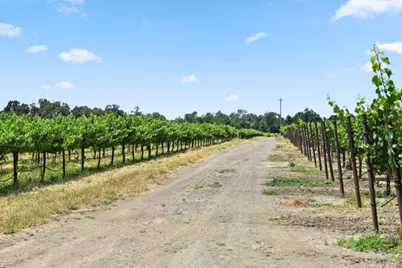 5301 Highway 128, Geyserville, CA 95441 - Photo 60