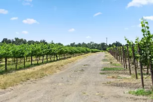 5301 Hwy 128, Geyserville, CA 95441 - Photo 60