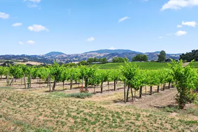 5301 Highway 128, Geyserville, CA 95441 - Photo 50