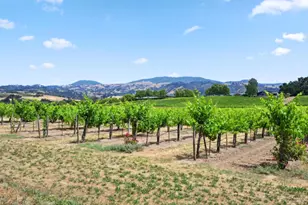 5301 Hwy 128, Geyserville, CA 95441 - Photo 50