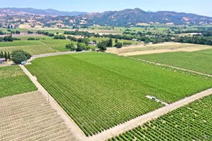 5301 Hwy 128, Geyserville, CA 95441 - Photo 4