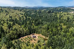 28855 Timberline Rd, Willits, CA 95490 - Photo 6