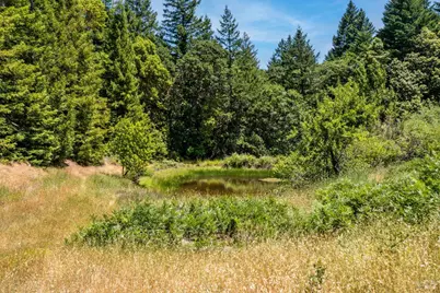 28855 Timberline Road, Willits, CA 95490 - Photo 26