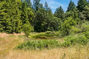 28855 Timberline Rd, Willits, CA 95490 - Photo 26