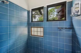 10 Miwok Way, Inverness, CA 94937 - Photo 46