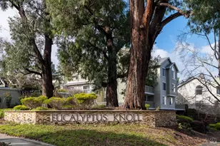 36 Eucalyptus Knoll St, Mill Valley, CA 94941 - Photo 28