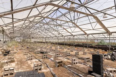 4288 Bodega Avenue, Petaluma, CA 94952 - Photo 38