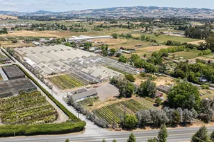 4288 Bodega Ave, Petaluma, CA 94952 - Photo 4