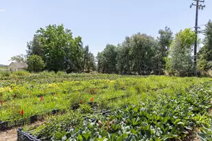 4288 Bodega Ave, Petaluma, CA 94952 - Photo 42