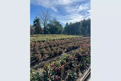 4288 Bodega Avenue, Petaluma, CA 94952 - Photo 52