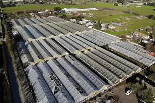 4288 Bodega Ave, Petaluma, CA 94952 - Photo 44