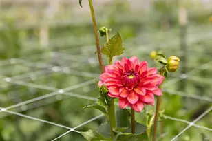 4288 Bodega Ave, Petaluma, CA 94952 - Photo 16