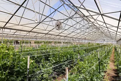 4288 Bodega Avenue, Petaluma, CA 94952 - Photo 36