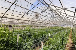 4288 Bodega Ave, Petaluma, CA 94952 - Photo 36