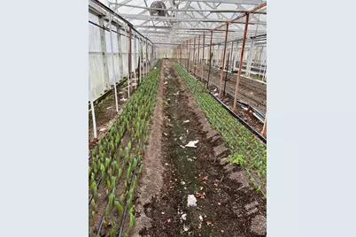 4288 Bodega Avenue, Petaluma, CA 94952 - Photo 46