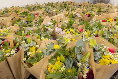 4288 Bodega Avenue, Petaluma, CA 94952 - Photo 24