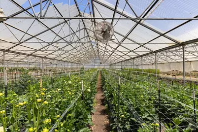 4288 Bodega Avenue, Petaluma, CA 94952 - Photo 34