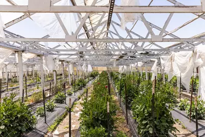 4288 Bodega Avenue, Petaluma, CA 94952 - Photo 40